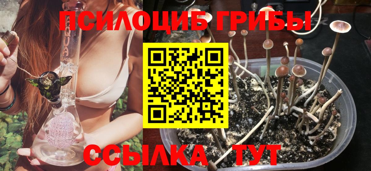 Благодарный  Галлюциногенные грибы Psilocybe  Вход с VPN  Псилоцибиновые грибы мицелий 